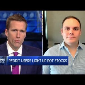 Navy Capital CEO discusses Reddit investor interest for cannabis stocks