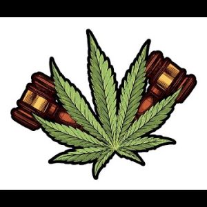Soul Dlicious Infused Episode 28 – Cannabis Legalization News Network