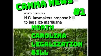 North Carolina Legalization News| Canna News #1 | April 2021 | Marijuana Legalization