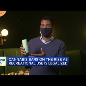 As recreational marijuana use becomes legal, cannabis bars are on the rise