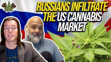Russian Cannabis News Today