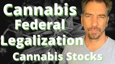 Cannabis Federal Legalization Possibilities and Cannabis Stocks News With Federal Legalization