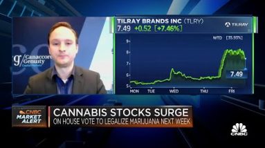 Tailwinds are coming for cannabis stocks: Canaccord Genuity’s Bottomley