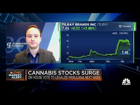Tailwinds are coming for cannabis stocks: Canaccord Genuity’s Bottomley