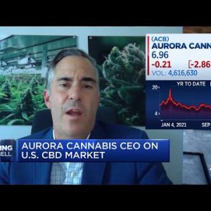 The U.S. will see medical marijuana at the federal level first: Aurora Cannabis CEO