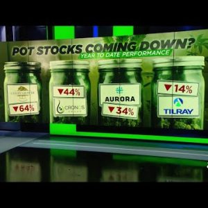 Green Thumb Industries predicts that the cannabis industry will grow to $75 billion within 3 to 5 years