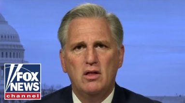 McCarthy slaps Dems for prioritizing cats and cannabis, rather than covid’