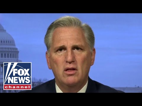 McCarthy slaps Dems for prioritizing cats and cannabis, rather than covid’