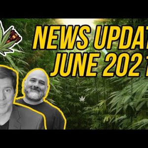 Federal Cannabis Legalization News – June 2021 – Cannabis News Roundup