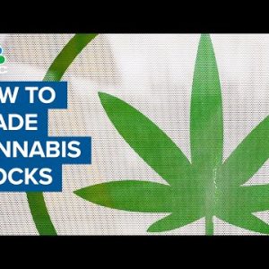 Analyst on which cannabis stocks are most vulnerable to a short squeeze