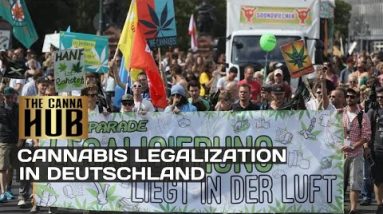 What Has To Happen Before Cannabis Is Sold Legally In Germany?
