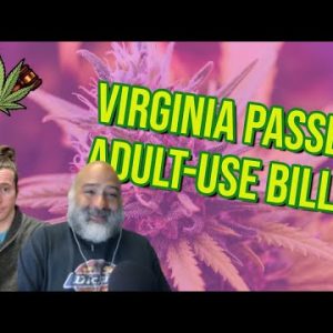 Virginia Senate Passes Bill to Launch Adult-Use Sales | Cannabis Legalization News