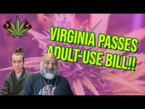 Virginia Senate Passes Bill to Launch Adult-Use Sales | Cannabis Legalization News