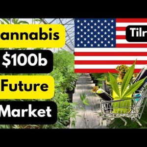 Tilray Are Looking Ahead To US Cannabis Legalization.