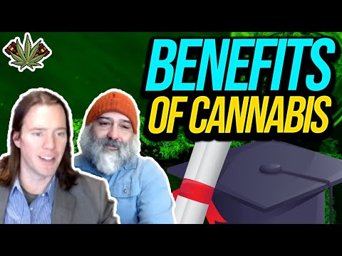College Students Feels More Motivated When Using Cannabis | cannabis motivational studies
