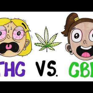 THC vs CBD: What’s In Your Weed?
