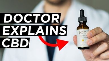 What Doctors are saying about CBD? | Cannabidiol