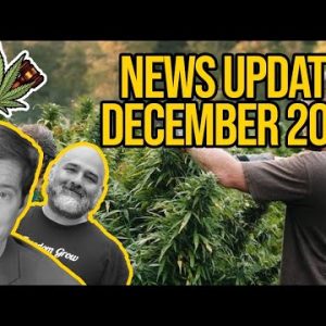 Federal Cannabis Legalization News – December 2020 – Cannabis News Roundup