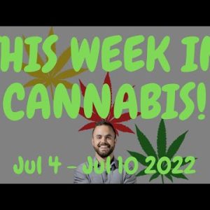 This Week in Cannabis News: July 4 – July 10, 2022