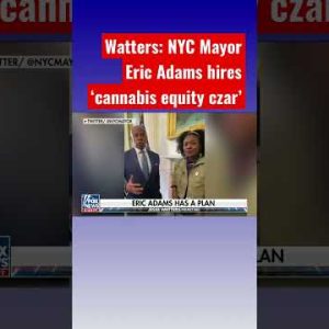 Jesse Watters: Mayor Eric Adams needs cannabis to be fair #shorts