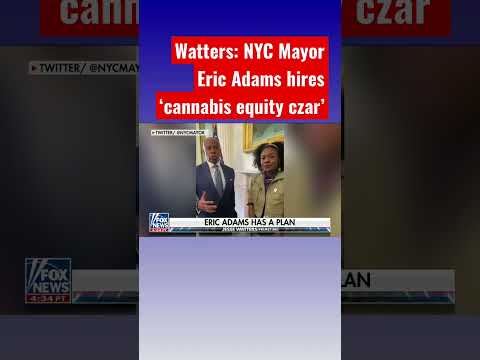 Jesse Watters: Mayor Eric Adams needs cannabis to be fair #shorts