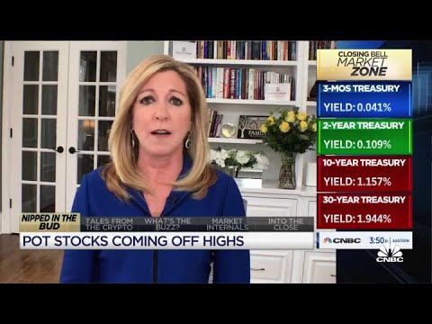 Cannabis stock surge is a ‘Reddit re-do’: Stephanie Link