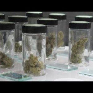 Struggling communities turn to medical cannabis