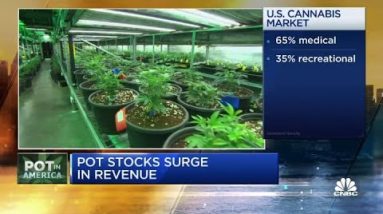 Cannabis is one among the quickest rising commerce in the U.S.