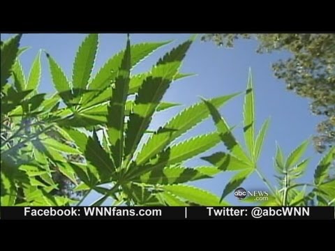 Clinical Marijuana Arrives on Capitol Hill