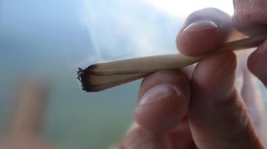 Smoking weed would possibly maybe perchance very successfully be more harmful to lungs than cigarettes – learn