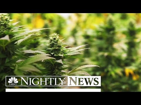 Acceptable Weed in Ohio May perhaps well perhaps Mean Sizable Profits for a Enjoy Few | NBC Nightly Records