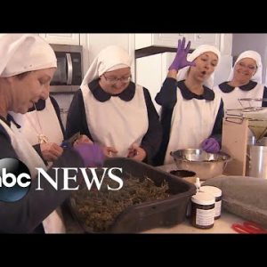 Meet the ‘weed nuns’ who build faith within the therapeutic powers, and profits, of cannabis