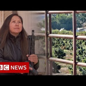 Cannabis issue and bust on Native American land – BBC Info