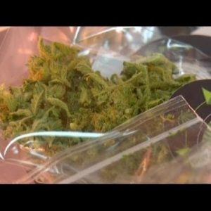 Right Marijuana in Washington Notify: Lone Pot Shop, Cannabis Metropolis, Opening in Seattle