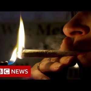 Malta becomes first EU nation to legalise hashish – BBC Files