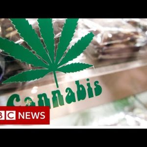 Thailand legalises cannabis rising and trade – BBC News