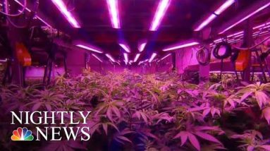 First East Cruise Recreational Marijuana Retail Stores To Open Tomorrow | NBC Nightly News