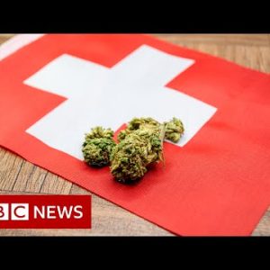 Switzerland to trial honest gross sales of cannabis – BBC News