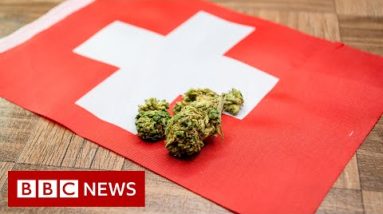 Switzerland to trial honest gross sales of cannabis – BBC News