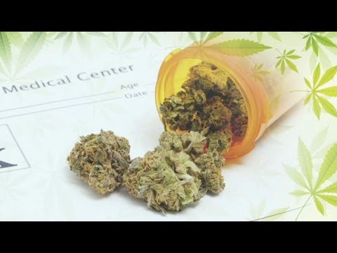 Gaze: Most Americans think clinical marijuana can maintain to be correct