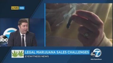 LA sluggish to comprise simply marijuana | ABC7