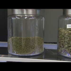 Compton voters selecting pot measures