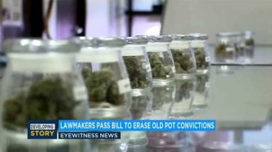 California lawmakers pass bill to erase pale pot convictions | ABC7