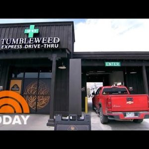 Colorado Pot Store Opens Nation’s First Power-By procedure of Dispensary | TODAY