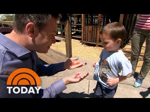 Rossen Experiences: Can You (Or Your Formative years) Location Pot-Laced Candy? | TODAY