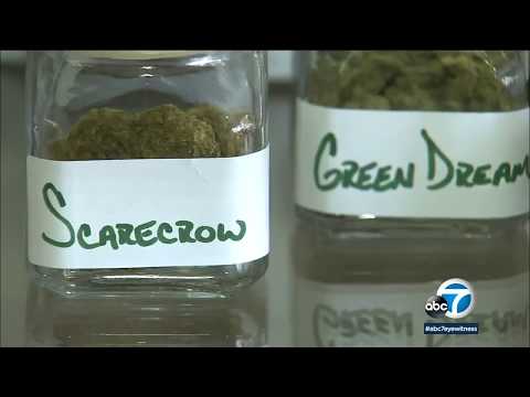 Hundreds expected to practice to promote leisure pot in LA | ABC7