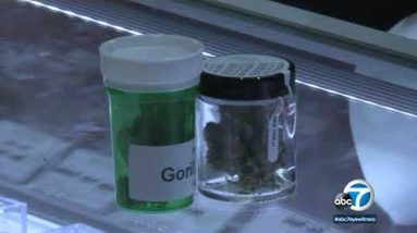 Santa Ana begins selling recreational pot on 1st day it be dazzling | ABC7
