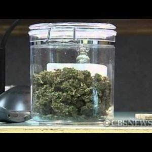 2-year-extinct clinical marijuana cardholder