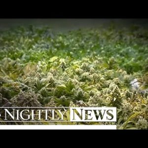 Ohio Massacre Crime Scenes Had Marijuana Develop Operations | NBC Nightly Files