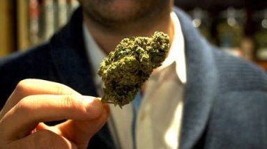 How is marijuana impacting Colorado’s urge for governor?